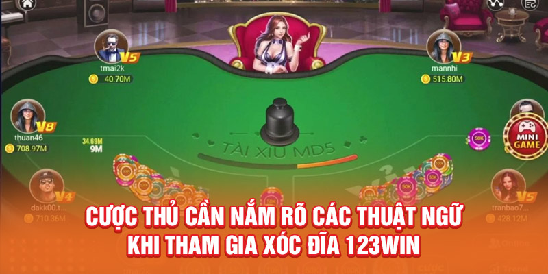 Cược thủ cần nắm rõ các thuật ngữ khi tham gia Xóc Đĩa 123WIN