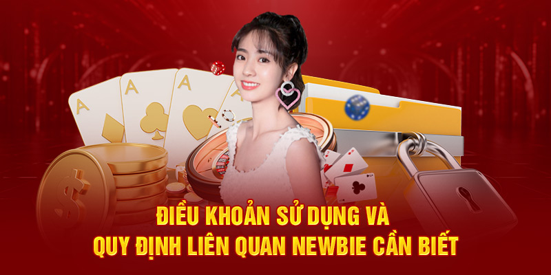 Thông tin chung về điều khoản sử dụng tại 123WIN