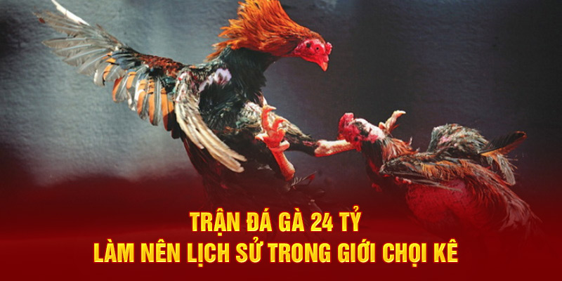 Trận đá gà 24 tỷ