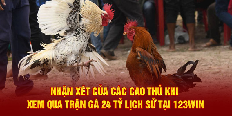 Nhận xét của các cao thủ khi xem qua trận gà 24 tỷ lịch sử tại 123win